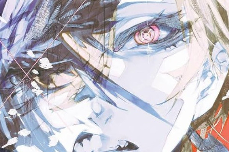 Detalhes do anúncio oficial da Kadokawa sobre o longo hiato do mangá Bungo Stray Dogs STORM BRINGER