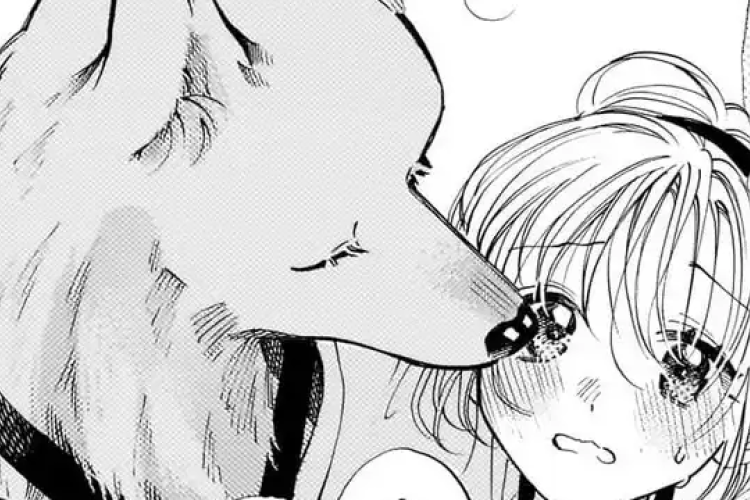 Link para Ler Manga With You, Our Love Will Make It Through (Kimi To Koete Koi Ni Naru) Capítulo 43 Scan PT BR, obter um apoio