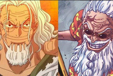 Fatos Curiosos Sobre Silvers Rayleigh vs Scopper Gaban em One Piece, Aqui Estão as 5 Diferenças Que Impressionam!